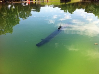 HMAS Ovens going down.jpg