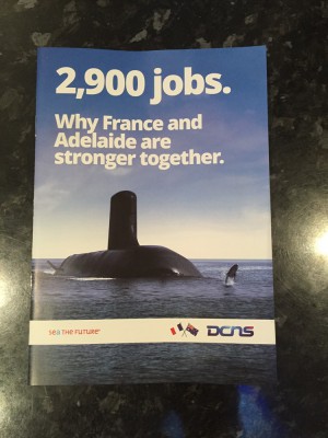 DCNS brochure.jpg