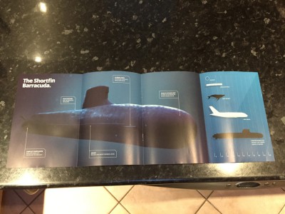 DNCS brochure foldout.jpg