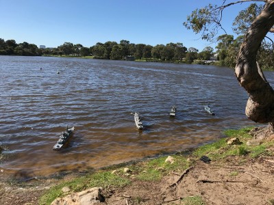 The anchorage Ardent, Manchester, Toowoomba and Lasson with heads into the wind