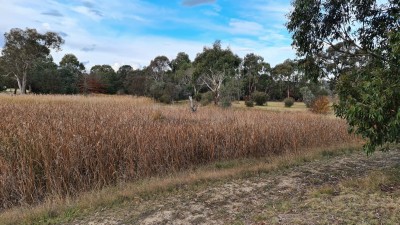 Looking towards the flat area from the other end of the lake.   The channel goes off to the right.