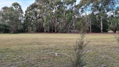 The large flat area where a covered area and BBQs may go.  It is right next to the road and the channel to the lake.