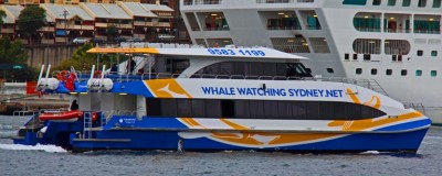 Private Sydney Ferry